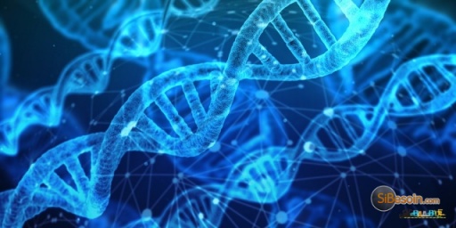 Sibesoin.com petite annonce gratuite Tests génétiques en kit : des données personnelles ultra sensibles
