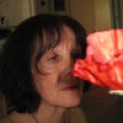 Femme 67 ans Sarthe, Pays de la Loire SiBesoin.Com / Le Mans / Femme 67 ans Sarthe, Pays de la Loire (H660RFwcjUuZECIK39vd)