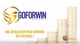 Sibesoin.com petite annonce gratuite 1 Goforwin opportunité française, légale et très prometteuse