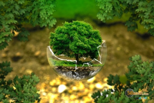 Sibesoin.com petite annonce gratuite La nature a les solutions face au problèmes climatiques