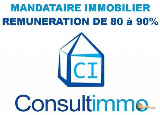 Sibesoin.com petite annonce gratuite recrute mandataires immobilier consultimmo 90%
