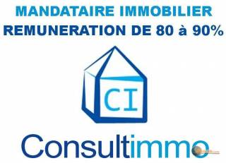 Sibesoin.com petite annonce gratuite 1 recrute mandataires immobilier consultimmo 90%