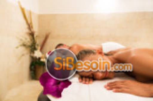 Sibesoin.com petite annonce gratuite hotel aix les bains