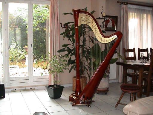 Sibesoin.com petite annonce gratuite Harpe de concert 47 cordes double mouvement