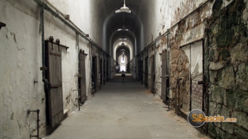 Photo de l'annonce Etude du paranormal et des phénomènes inexpliqués  0Zm37T5OFv87I7KtIhvy