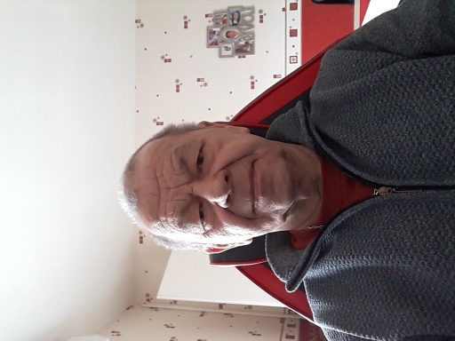 Photo de l'annonce Chiot ou jeune petit chien , poils ras ou frisés . 0dLkNz34Tg70Fi2kOW43