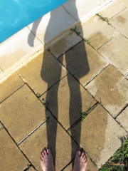 la petite annonce Pour jeune femme sur Sibesoin.com / Paris