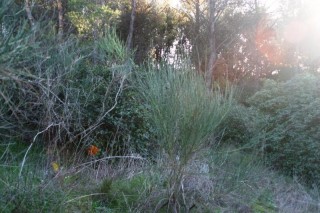 la petite annonce Vente terrain bouches du rhone marseille sur Sibesoin.com / marseille(13012)