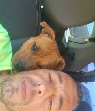 Sibesoin.com petite annonce gratuite Rencontre