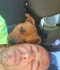 la petite annonce Rencontre  sur Sibesoin.com / Maussane-les-Alpilles