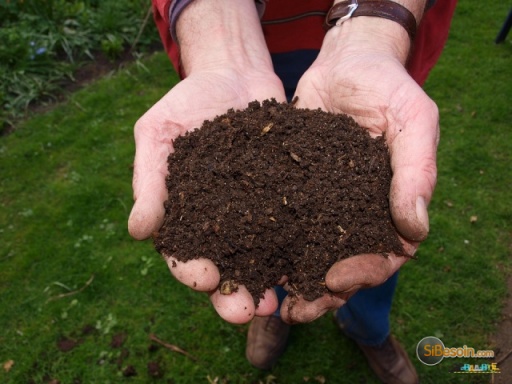 Sibesoin.com petite annonce gratuite Comment faire un bon compost ?