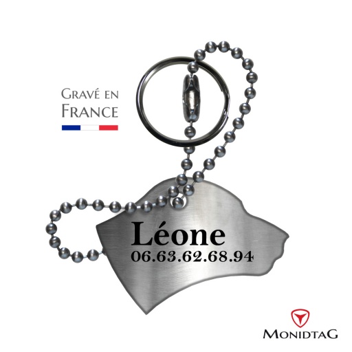 Médaille tête de chien en acier 