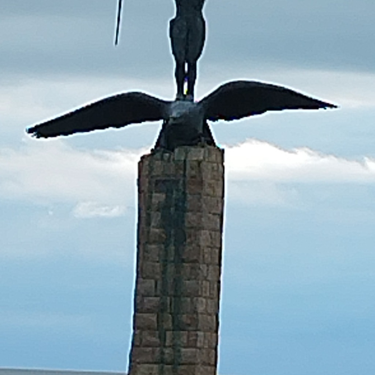 Photo de l'annonce Recherches jolie fleurs a butiner  3OyJwEgPDFQ5o7lDNY2m