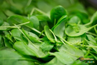 la petite annonce Le vert qui nous veut du bien : les épinard sur Sibesoin.com / 