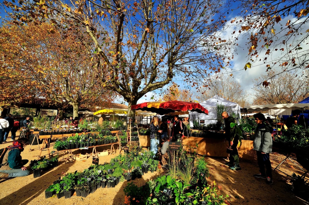 Photo de l'annonce Les journées de l'arbre de la plante et du fruit 4dcb5c1f5926b5e58b20