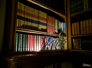 la petite annonce Lampe cheveux des f?es longue sur Sibesoin.com / POULDREUZIC (29710)