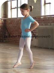 Sibesoin.com petite annonce gratuite 4 le ballet theatral de montreal 