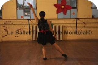 Sibesoin.com petite annonce gratuite 6 le ballet theatral de montreal 