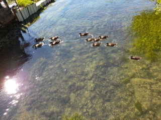 Photo de l'annonce Plan trio 6iXm1qELB5m8jg1hwJjb