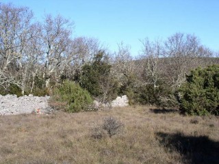 la petite annonce Vente terrain ardeche labastide de virac - proche sur Sibesoin.com / labastide de virac - proche(07150)