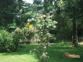 Sibesoin.com petite annonce gratuite 5 Vacances detente dans le finistere sud