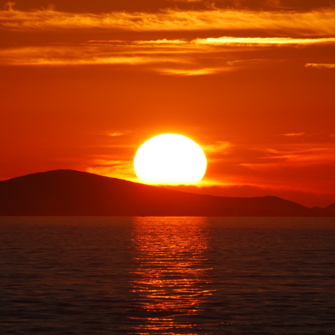 Photo de l'annonce Petsonne simple et sympathique  81wLt076Vr77dWN8Hdh3