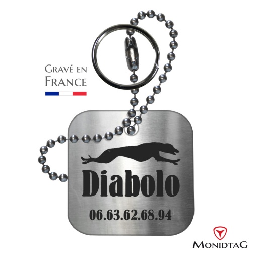 Médaille pour chien carrée en acier