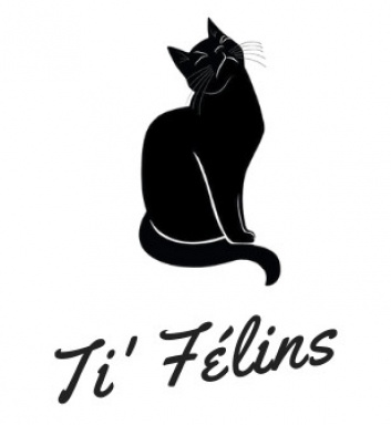 Sibesoin.com petite annonce gratuite Pension pour chats ti' félins