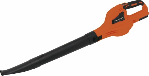 Souffleur de feuilles sur batterie 20V 242 m³/h sans char...