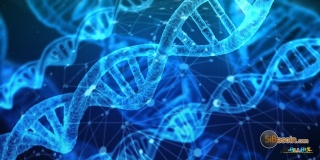 la petite annonce Tests génétiques en kit : des données personnelles ultra sensibles sur Sibesoin.com / 