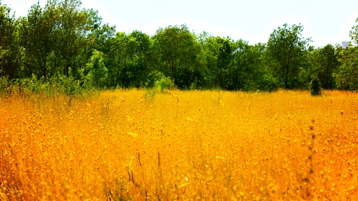 Sibesoin.com petite annonce gratuite Bonjour, de gray 70  j,ai 76 ans mari&eacute; je cherche des 