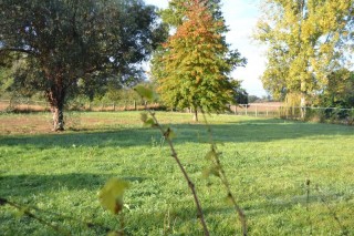 la petite annonce Vente terrain haute garonne fontenilles sur Sibesoin.com / fontenilles(31470)