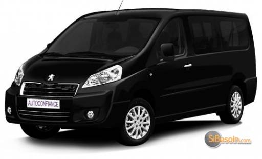 Sibesoin.com petite annonce gratuite transport de personnes, navettes aeroports, gares...