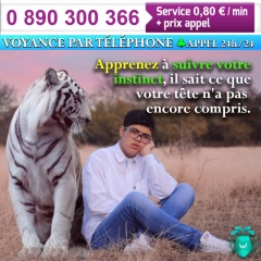 la petite annonce Voyance par téléphone sans cb au 0890 300 366 sur Sibesoin.com / paris 01 (75001)