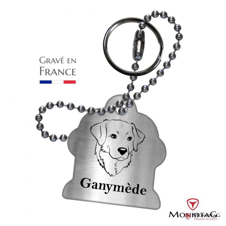 Photo de l'annonce Médaille BàI en acier pour chien GE8NGHGUJE1wl87DT75m