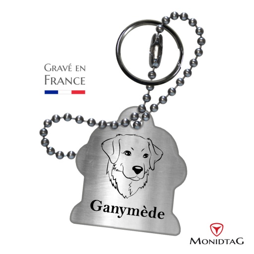 Médaille BàI en acier pour chien