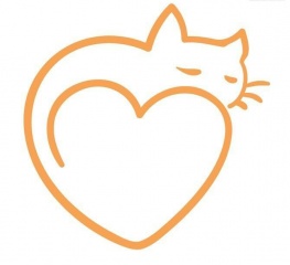 la petite annonce Cherche chaton à adopter  sur Sibesoin.com / MONTREUIL