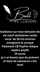 Sibesoin.com petite annonce gratuite 3 Cartomancienne 
