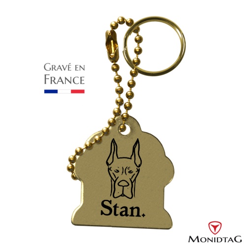 Médaille pour chien BàI en laiton