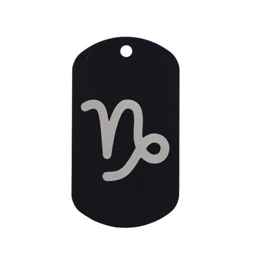 Pendentif Zodiaque Capricorne S