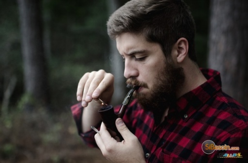 Sibesoin.com petite annonce gratuite Fumer la pipe rend-il plus mâle ?