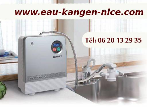 Sibesoin.com petite annonce gratuite machine kangen familiale