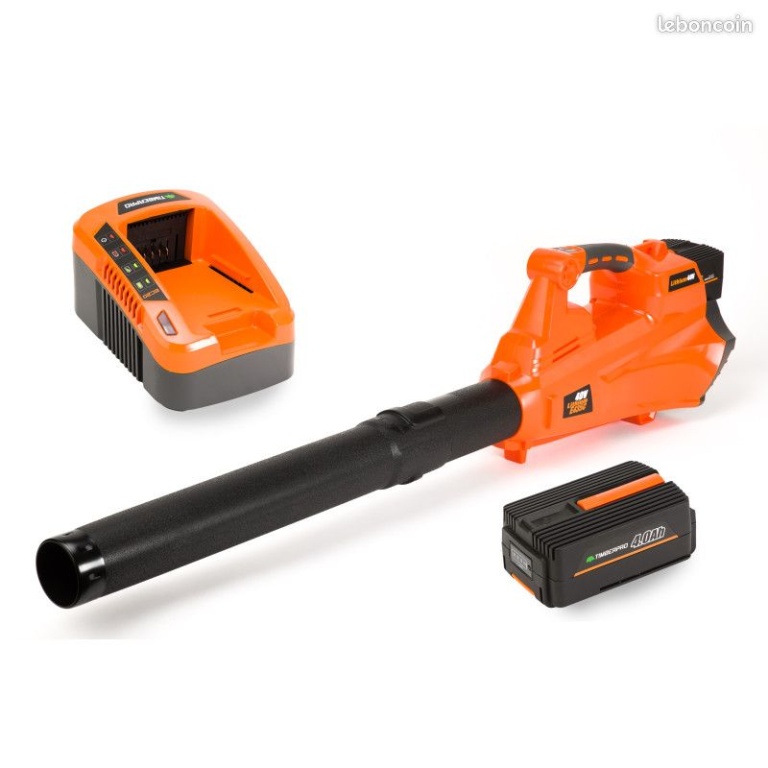 Photo de l'annonce Souffleur électrique sans fil 40V. batterie 4A  chargeur.... Ye50gWU5t40L55Ud1Is7