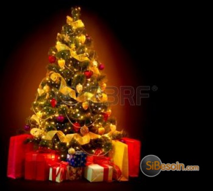 Sibesoin.com petite annonce gratuite   *** prestations - pere - noËl à domicile ***