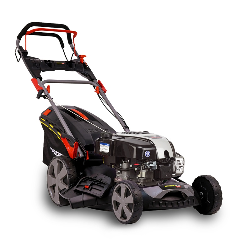 Photo de l'annonce Tondeuse thermique tractée 161CC avec moteur Briggs and S... aem31s31tZJr153q2CAz