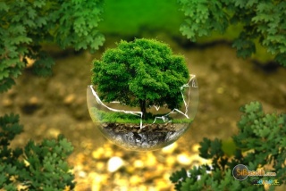 Sibesoin.com petite annonce gratuite 1 La nature a les solutions face au problèmes climatiques