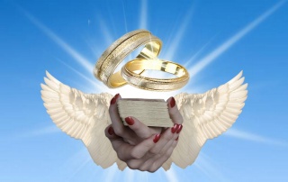 Sibesoin.com petite annonce gratuite 4 Oracle des anges, voyance prophétique 2.50 min 