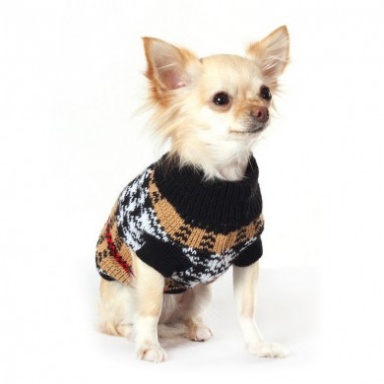 Sibesoin.com petite annonce gratuite Cherche don chiot femelle