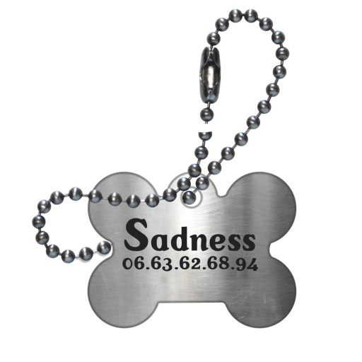 Médaille os en acier pour chien
