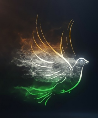 Photo de l'annonce Accompagnement vers le changement, la confiance, l'autonomie l31fv0Mja5cI2eY4ElTB